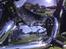 Honda VT 750 Shadow ED