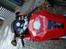 Honda vtr 1000 R.I.P