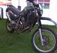 Honda transalp 750 afrika twin