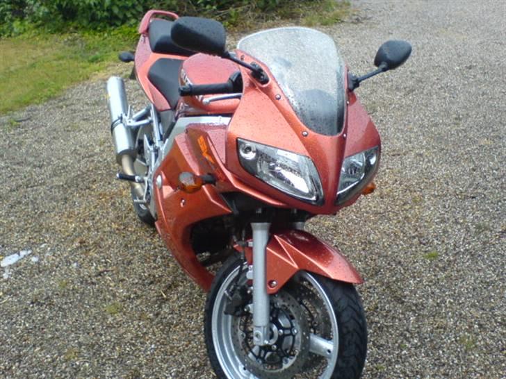 Suzuki SV650s billede 3