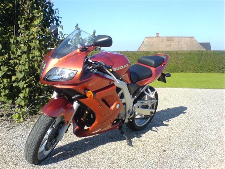 Suzuki SV650s billede 4