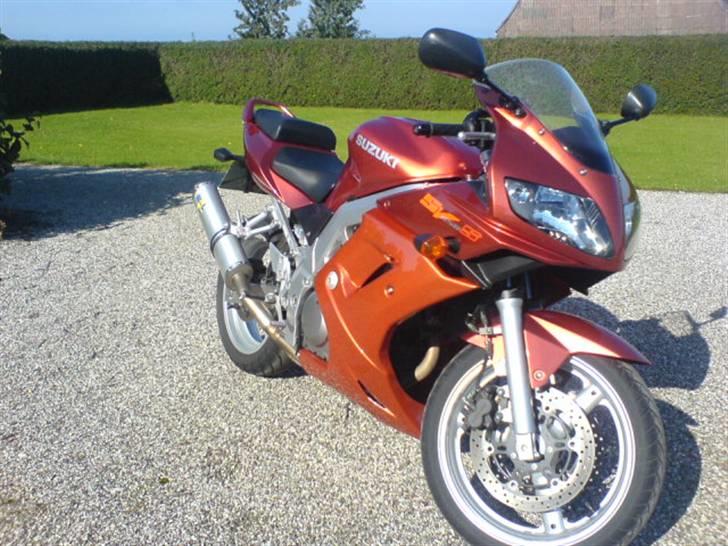 Suzuki SV650s billede 5