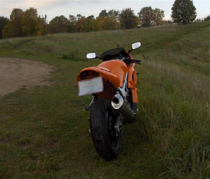 Suzuki Sv650S  - Sept. 2008 billede 11