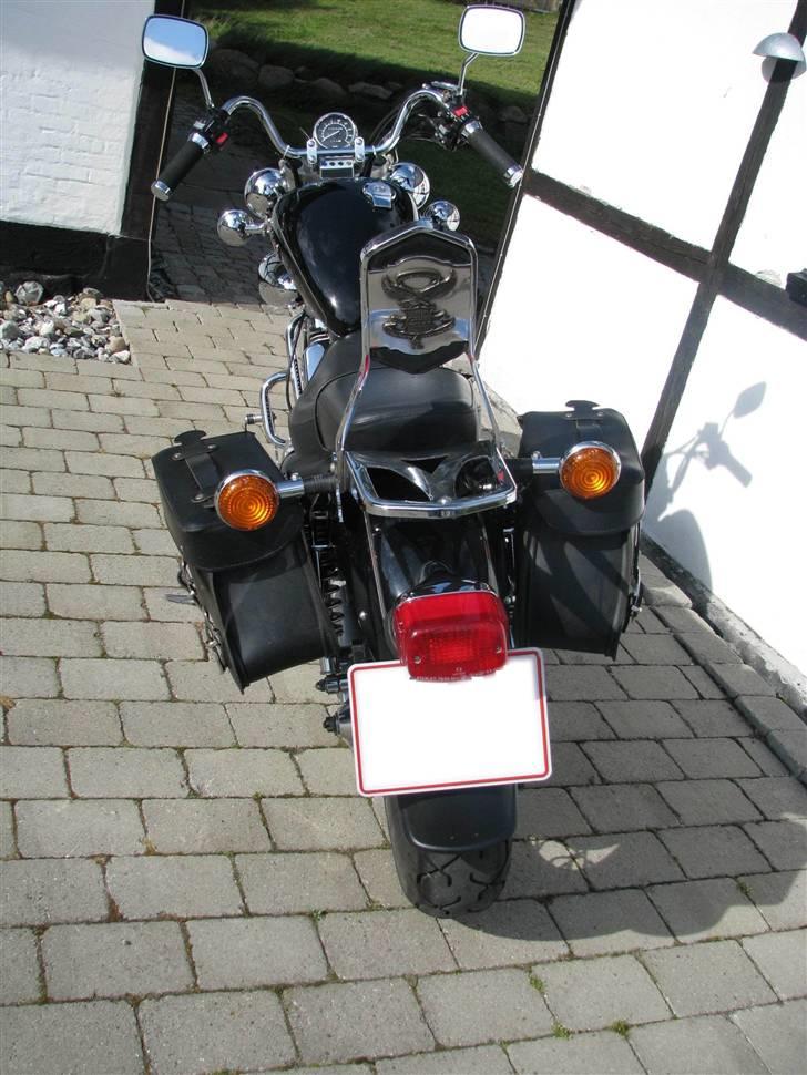 Yamaha Virago 535 - Og sadeltaskerselvfølgelig. Rart til forsyningerne til de længere ture billede 6