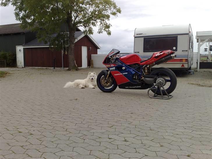 Ducati 996 SPS billede 3