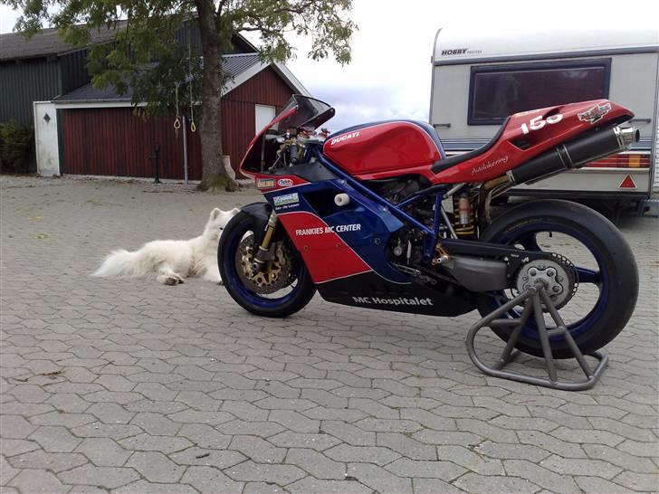 Ducati 996 SPS billede 4