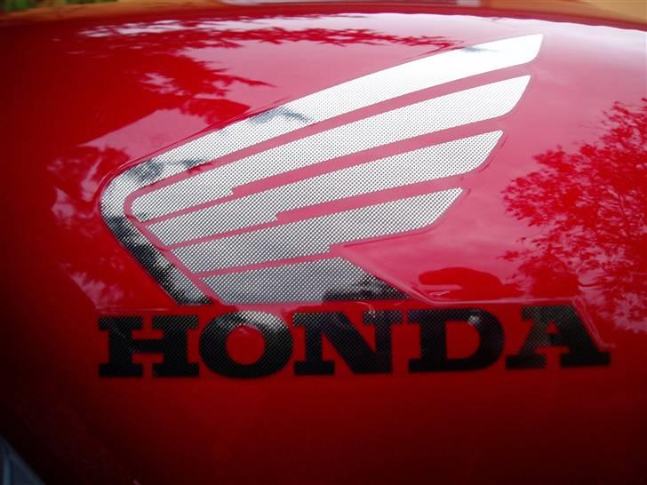 Honda CBR 1100 XX  billede 16