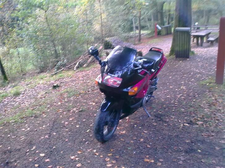 Kawasaki ZZR 600 D *solgt* billede 2