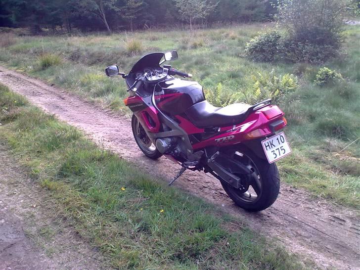 Kawasaki ZZR 600 D *solgt* billede 6