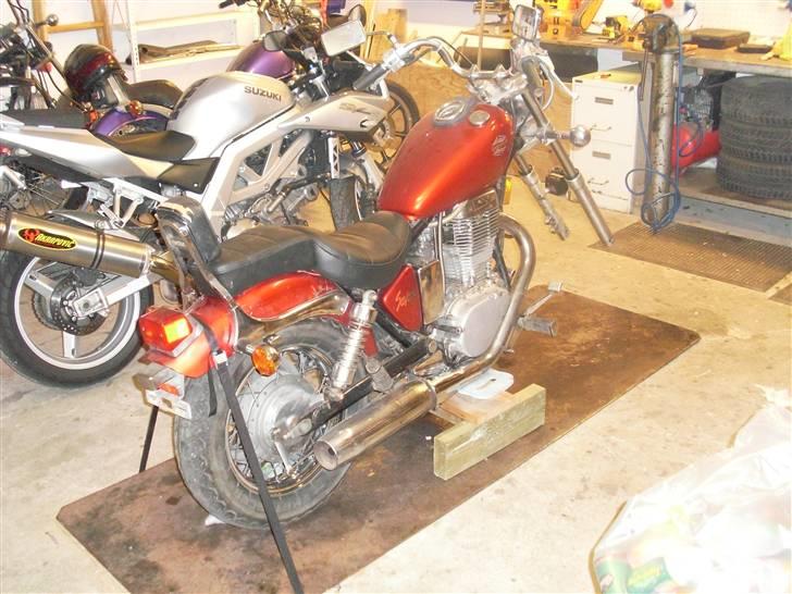 Suzuki sv1000s - Dette er så mit vinterprojekt. Den skal nok blive fed. billede 7