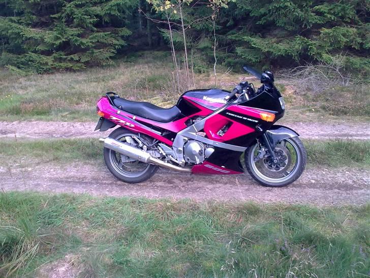 Kawasaki ZZR 600 D *solgt* billede 9