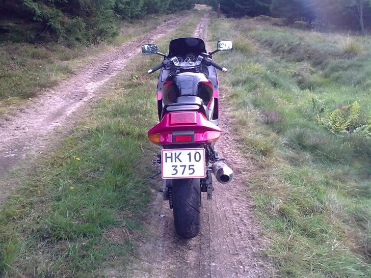 Kawasaki ZZR 600 D *solgt* billede 10