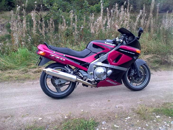 Kawasaki ZZR 600 D *solgt* billede 12