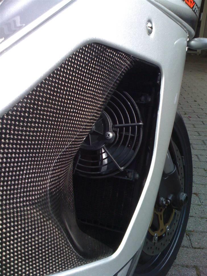 Aprilia RSV Mille billede 6