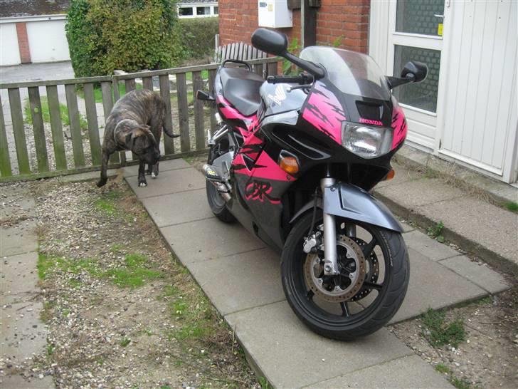 Honda CBR 600F2 (solgt) billede 13