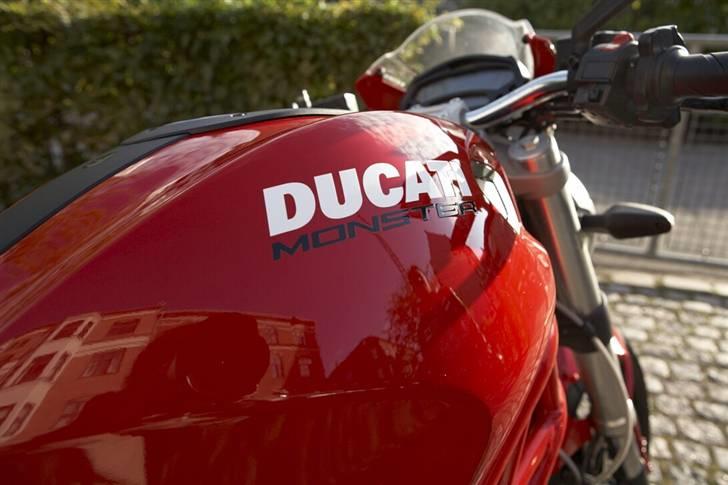 Ducati monster 696 billede 6