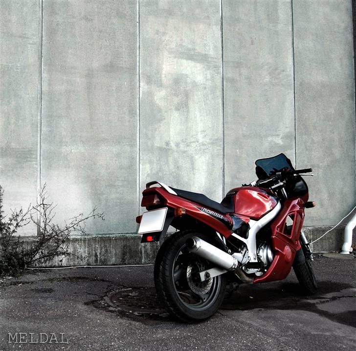 Suzuki GS500E -til salg - - Der synes jeg er det bedtse billede .. For faen, hvor er han sexet dér ;) billede 5