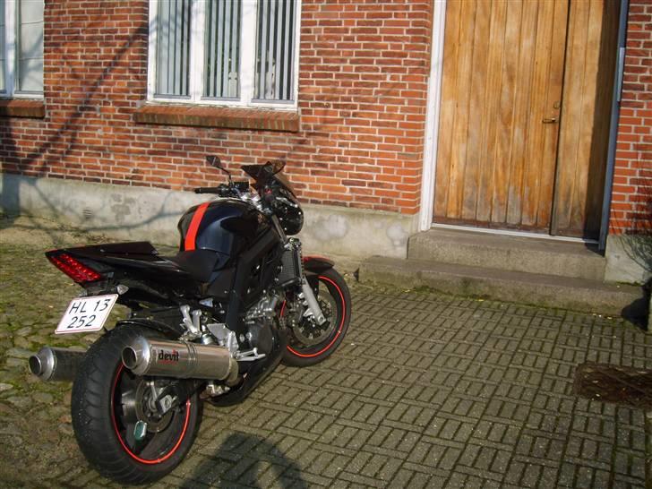 Suzuki SV 1000 K6 billede 2