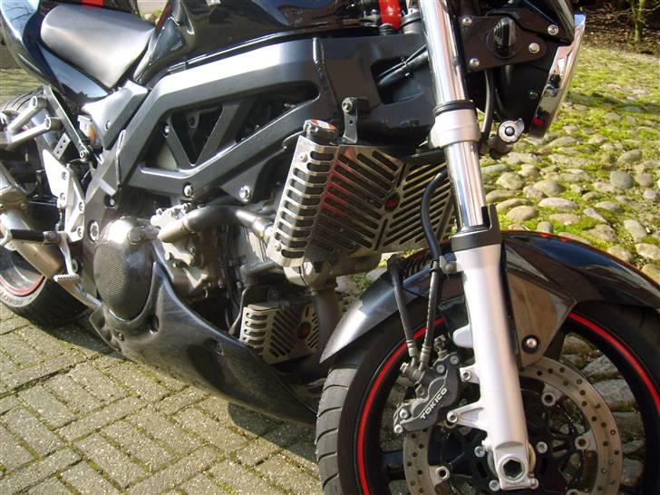 Suzuki SV 1000 K6 billede 5