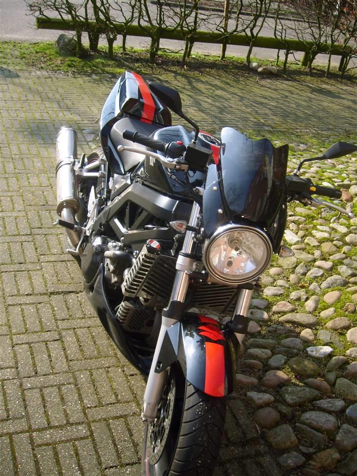 Suzuki SV 1000 K6 billede 9