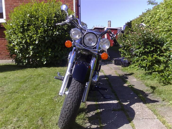 Honda VT 750 Shadow ED billede 4