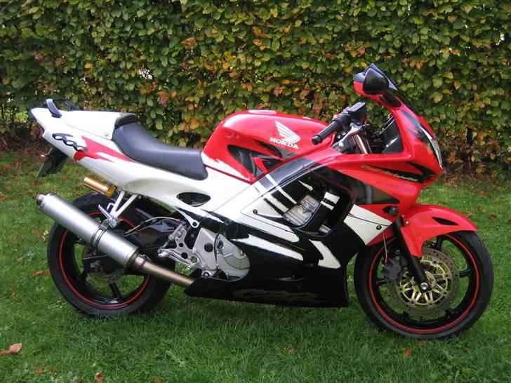 Honda Cbr 600 F3  "Solgt" billede 6