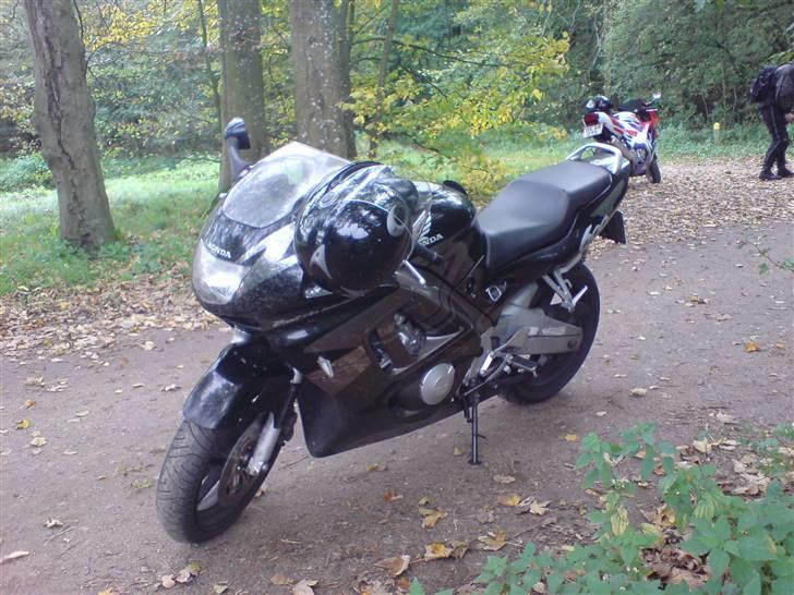 Honda cbr600 f3 billede 4