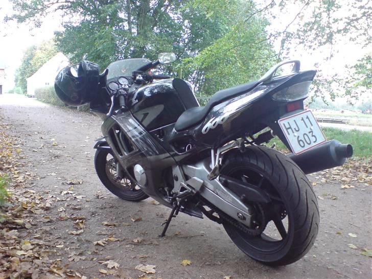Honda cbr600 f3 billede 5