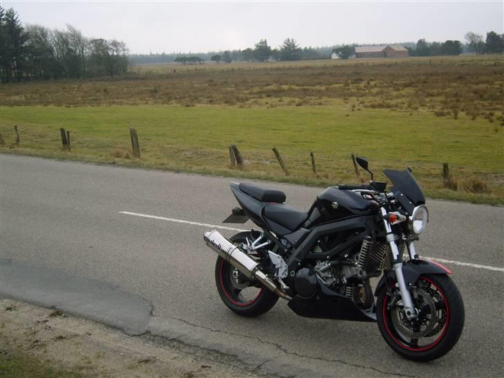 Suzuki SV 1000 K6 billede 16