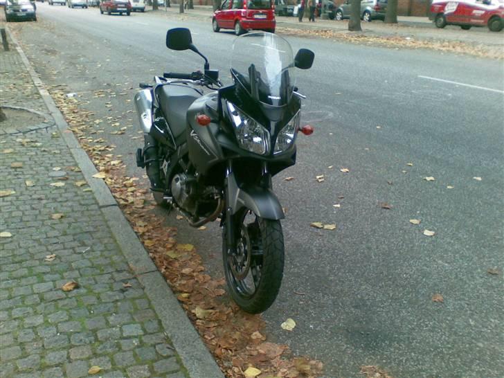 Suzuki DL 650 V-Strom AK8 - Frontskud billede 1