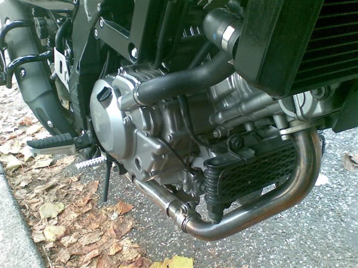 Suzuki DL 650 V-Strom AK8 - Det voldsomme kraftværk billede 5