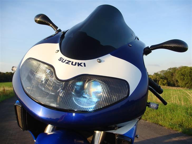 Suzuki TL1000R billede 7
