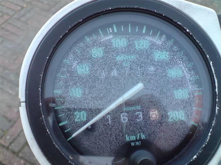 BMW R 80 GS Basic m. Sidevogn - den har gået lige over 34000, og duggen fylgte gratis med... billede 5