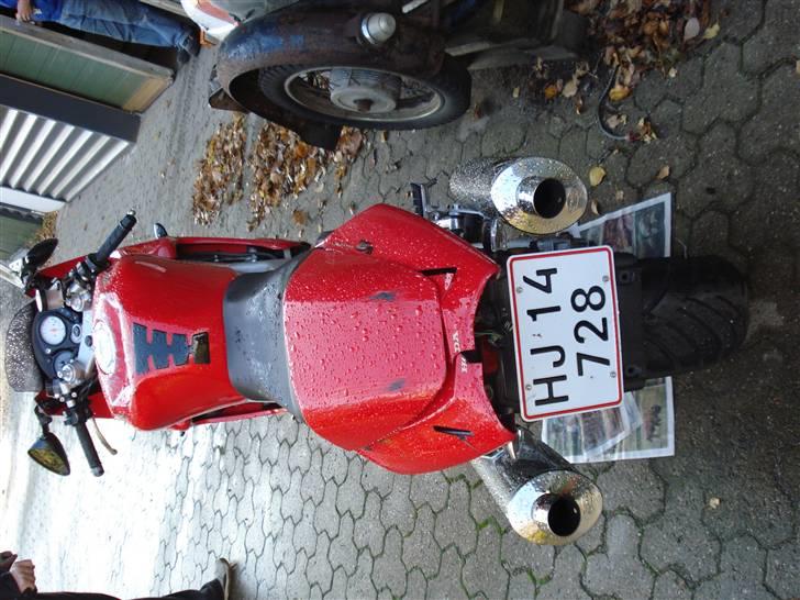 Honda vtr 1000 R.I.P billede 14