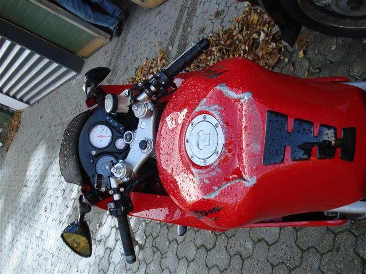 Honda vtr 1000 R.I.P billede 15