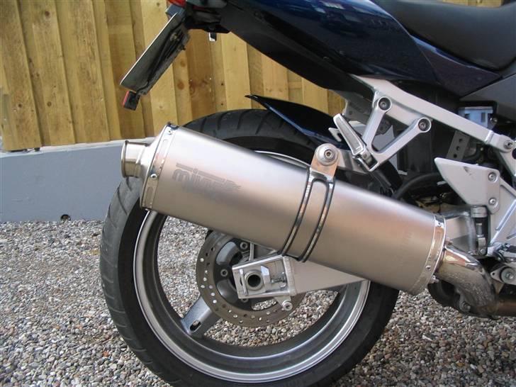 Suzuki SV1000 N billede 10