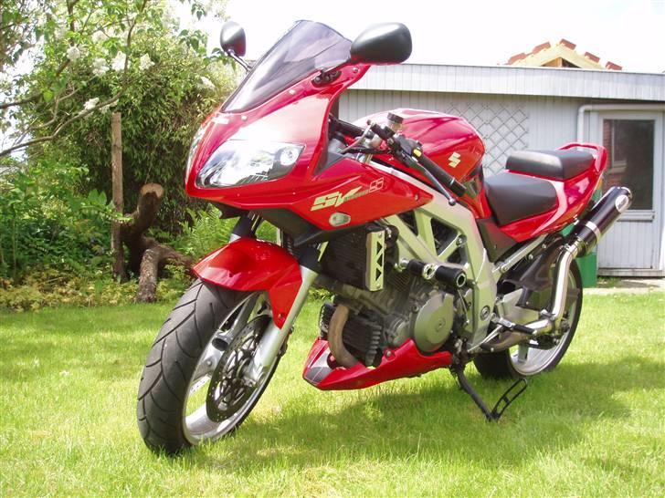 Suzuki SV1000S billede 2