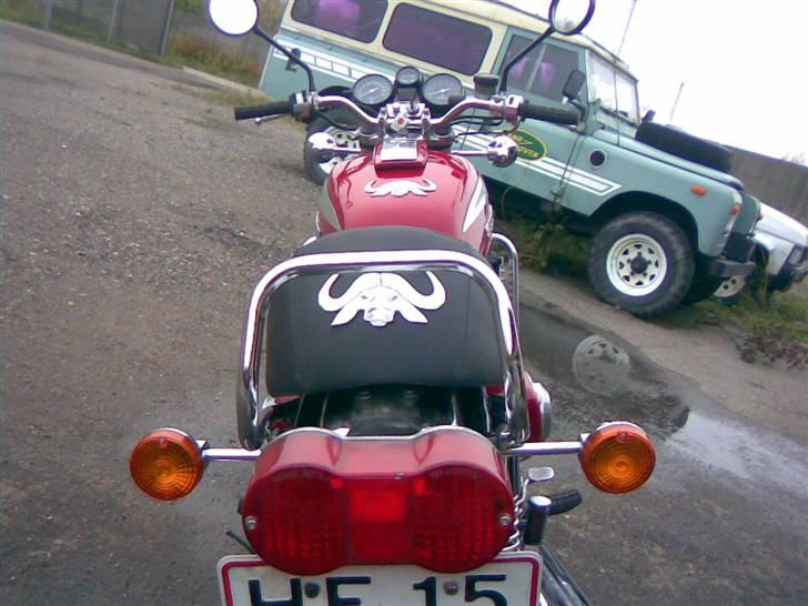 Suzuki GT 750 Vandbøffel billede 2