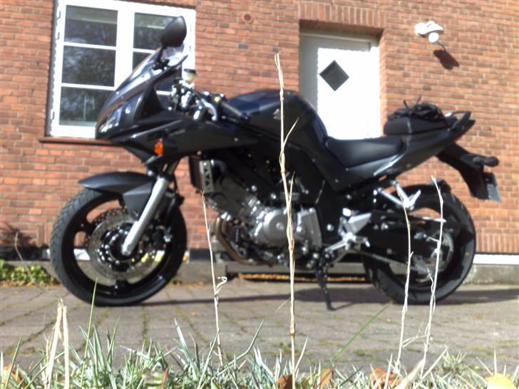 Suzuki sv650 - Hjemme hos malten. my love. billede 1