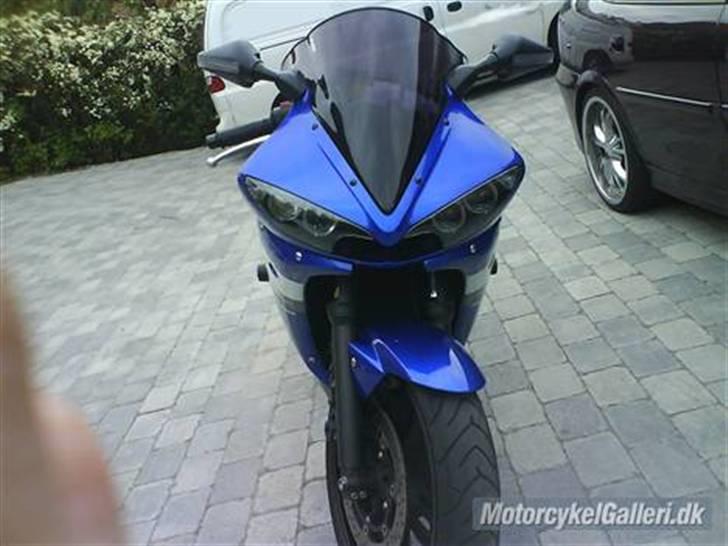 Yamaha yzf r6 billede 6