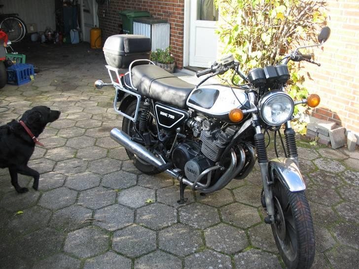 Yamaha  xs 750 - solgt - 23/10-08 Rullet ud i solen...ved godt den trænger til en gang vask... billede 5