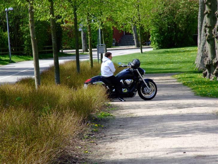 Suzuki m1800 billede 4