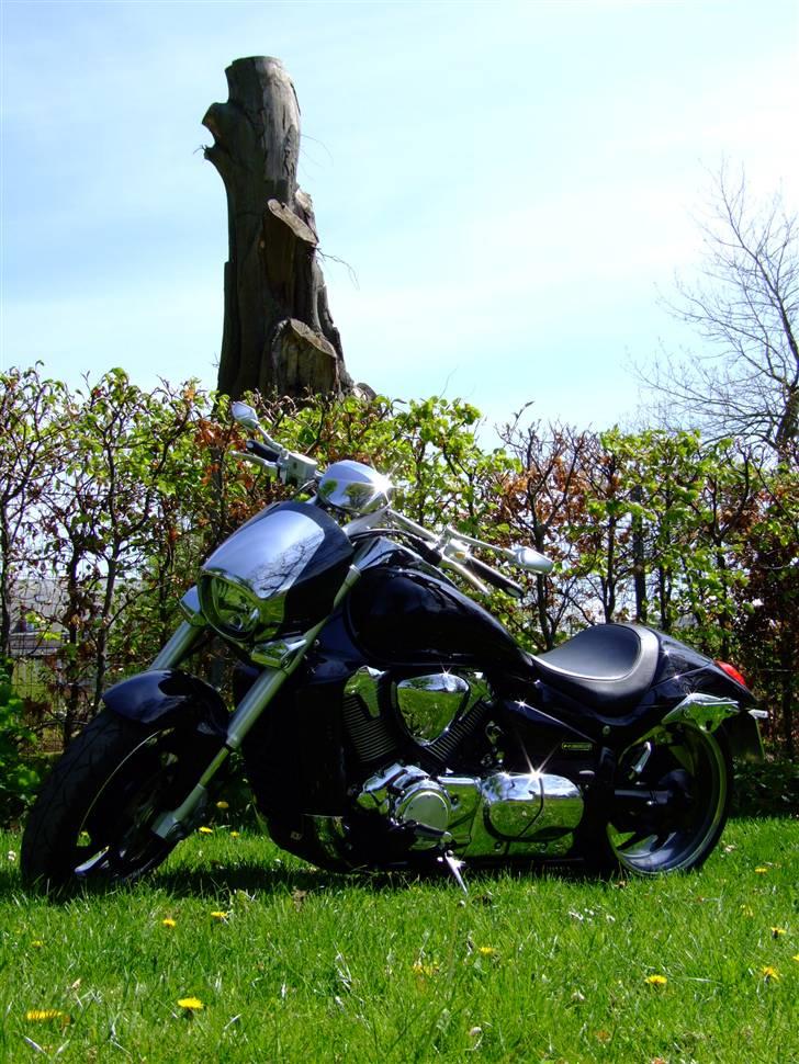 Suzuki m1800 billede 7