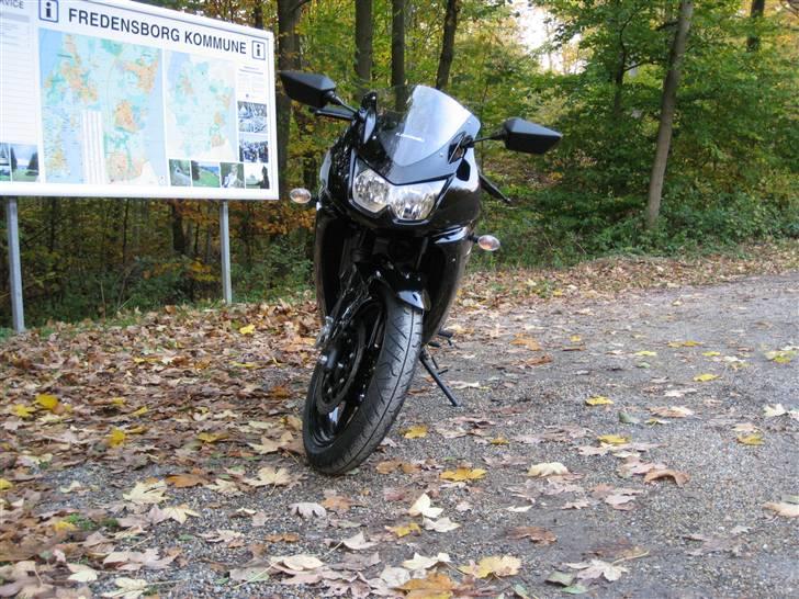 Kawasaki 250 R Ninja (SOLGT) billede 4