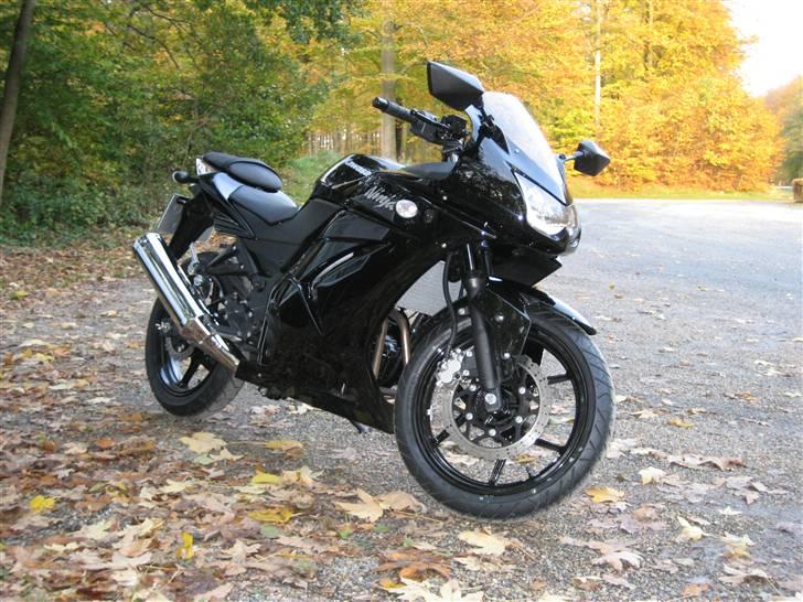 Kawasaki 250 R Ninja (SOLGT) billede 5