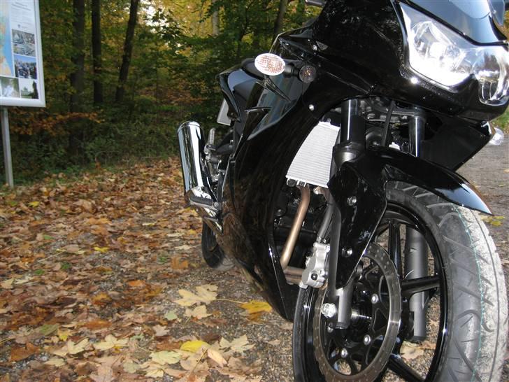 Kawasaki 250 R Ninja (SOLGT) billede 10