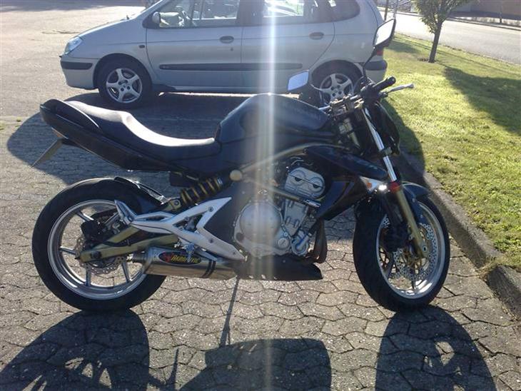 Kawasaki ER 6N billede 1
