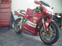 Ducati 996'