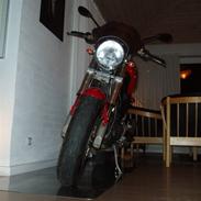 Ducati Monster 900