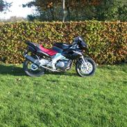 Yamaha SZR 660 